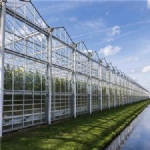 4mm Green House Glass